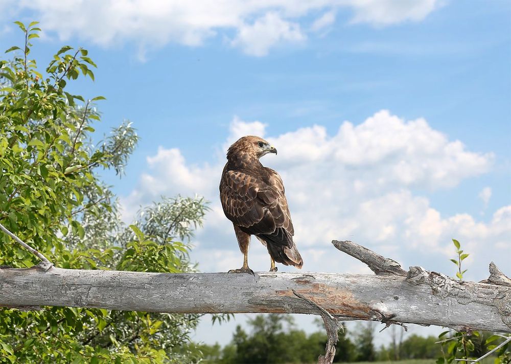 Photograph by Андрей Стародубцев