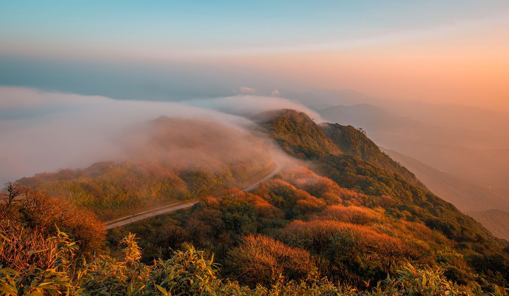 Photograph by Hanh P. T. Pham