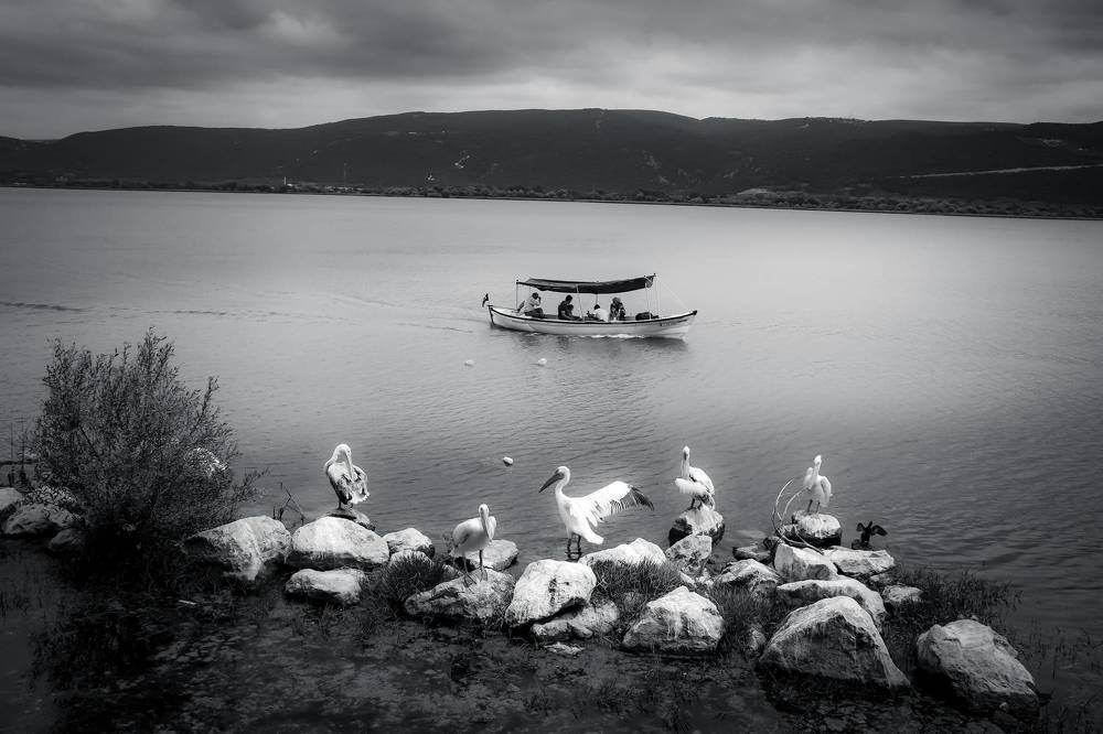 Photograph by Buket Demirel