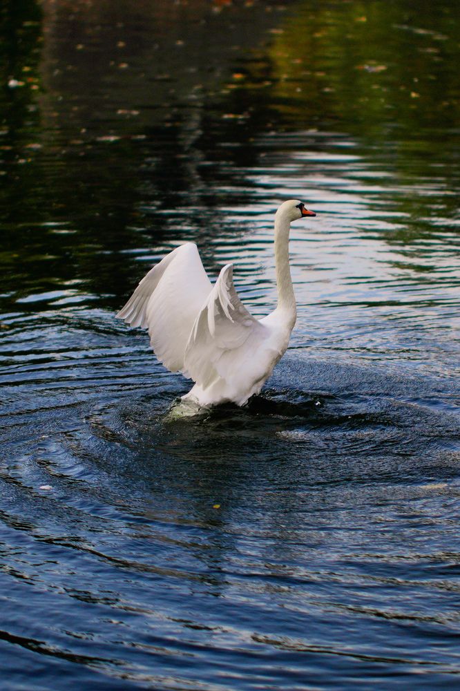 Photograph by Гусева Марина