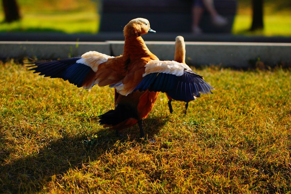 Photograph by Гусева Марина