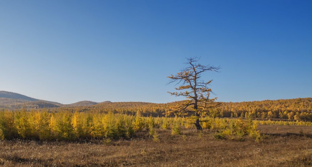 Photograph by Natalia