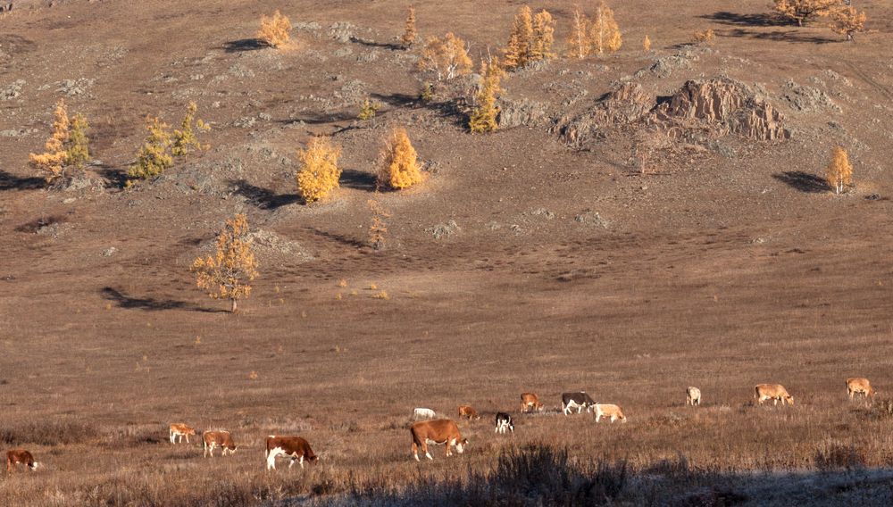 Photograph by Natalia