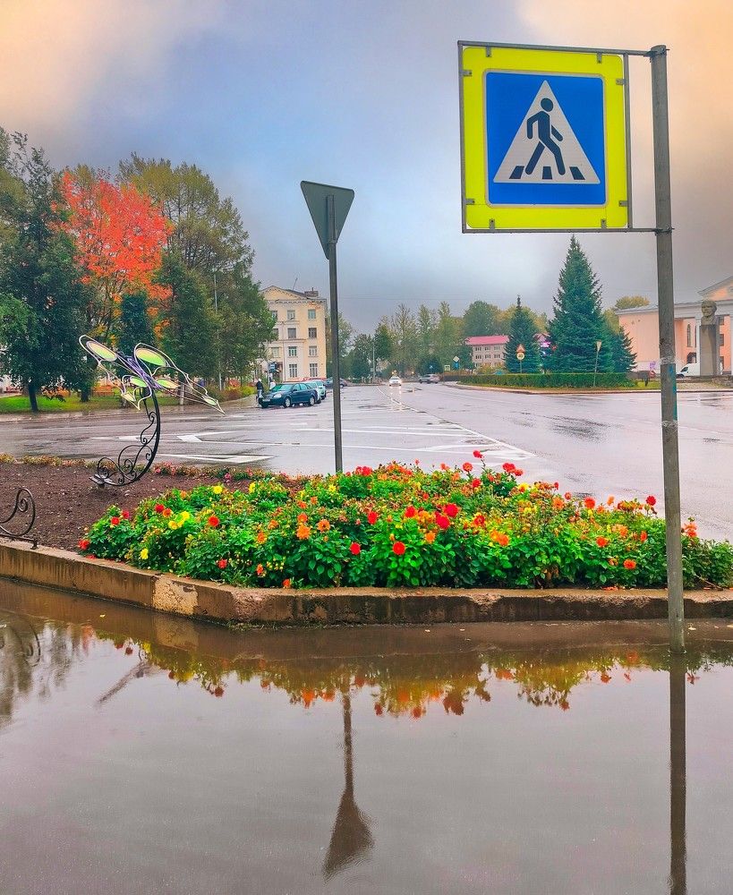 Photograph by Людмила Ваганова