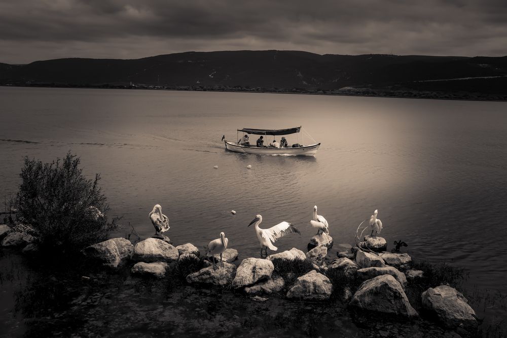 An ordinary day in Gölyazı village