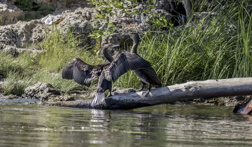 Photograph by Sergey Paramonov