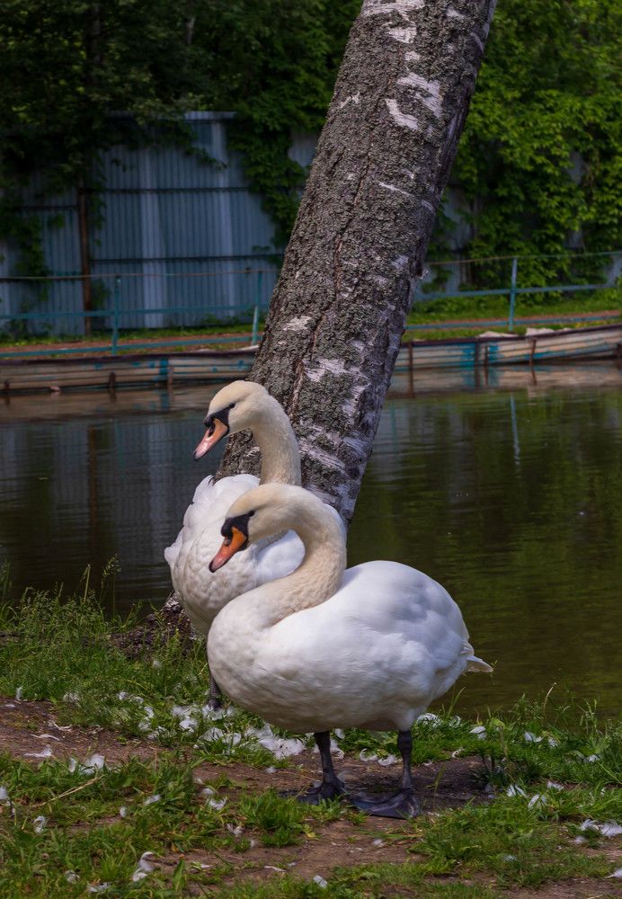 Фотография автора Виталий Дузь