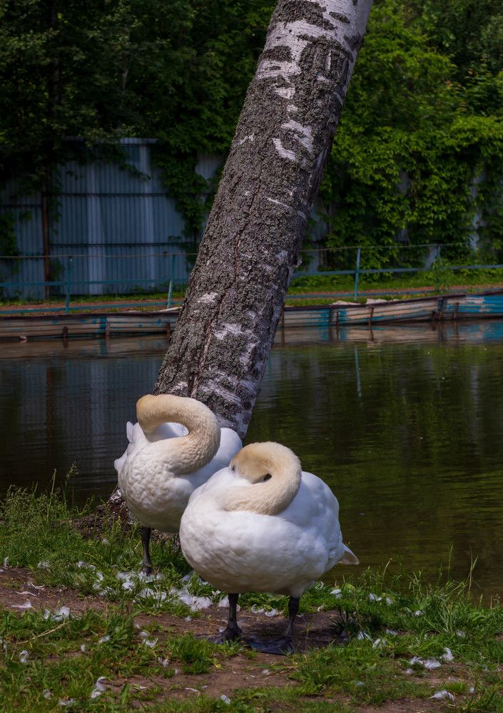 Фотография автора Виталий Дузь