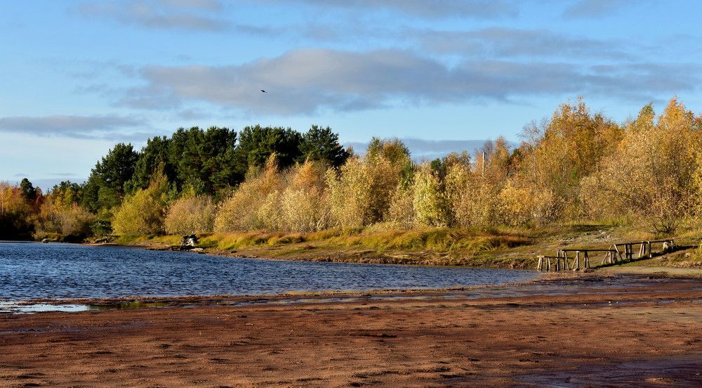Осень на берегу реки Пим