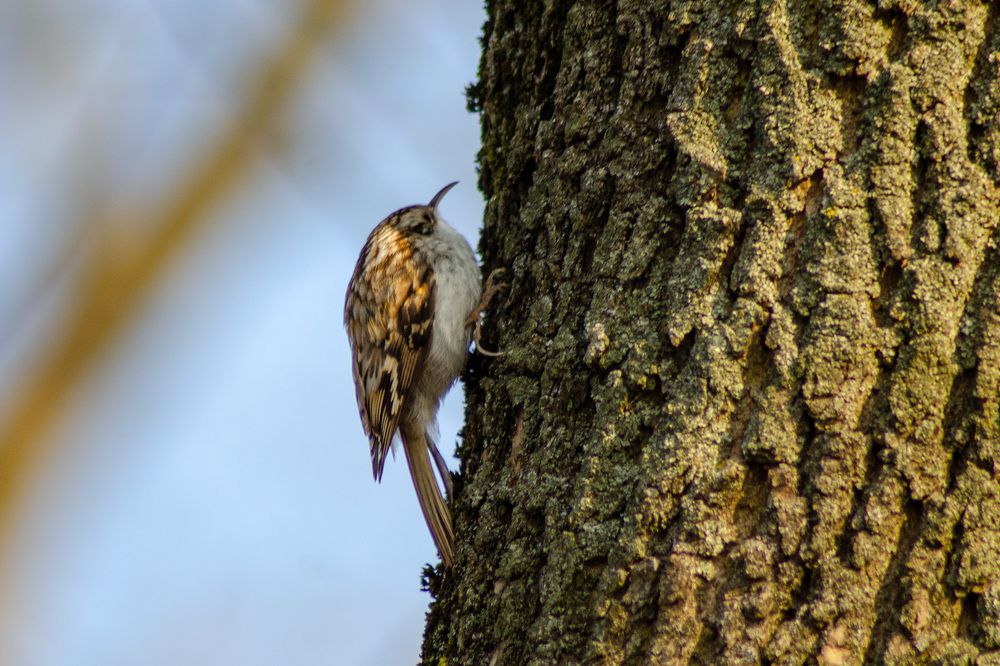 Photograph by Михаил Гурин