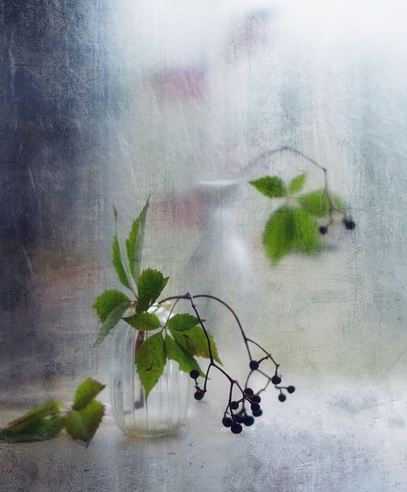 Photograph by Наталия К