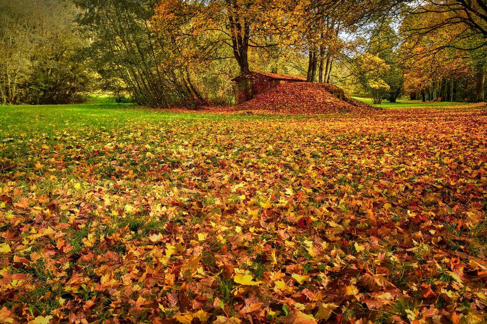 Фотография автора David Solodar