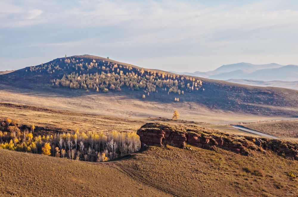 Photograph by Natalia