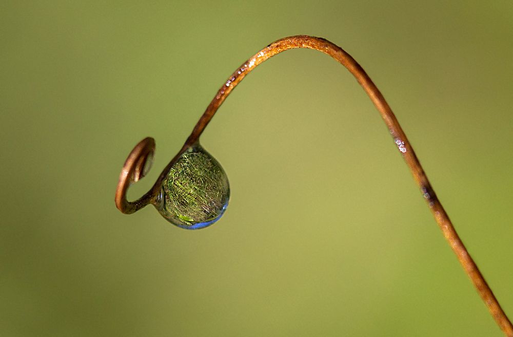 Фотография автора Andrey Pristyazhnyuk