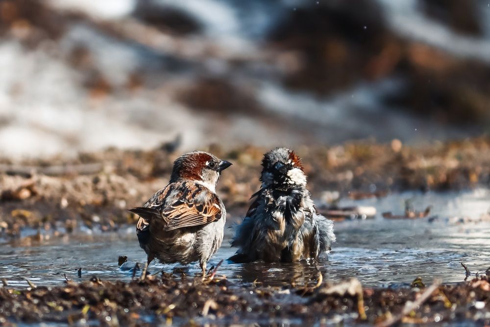 Photograph by Хельга Кольцова