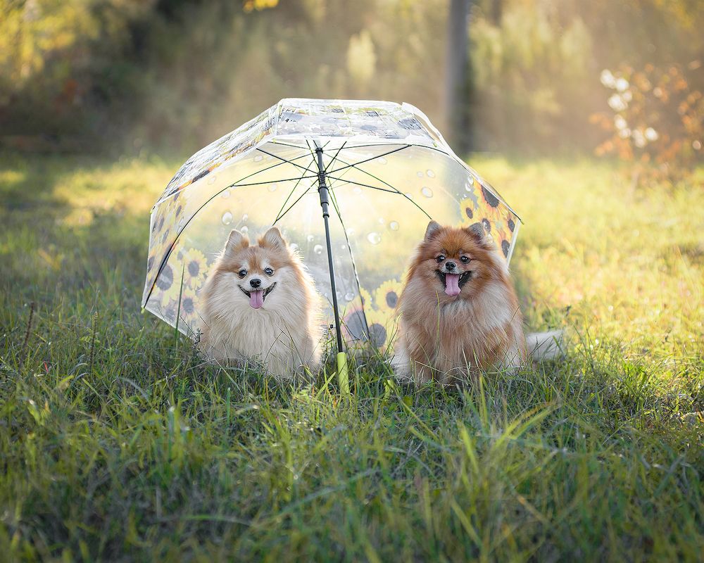 Photograph by Виктория Сафонова