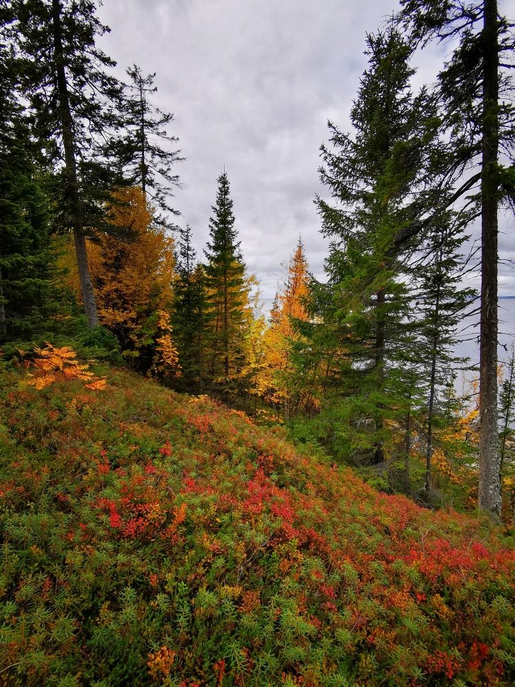 Photograph by Елена Артёменко