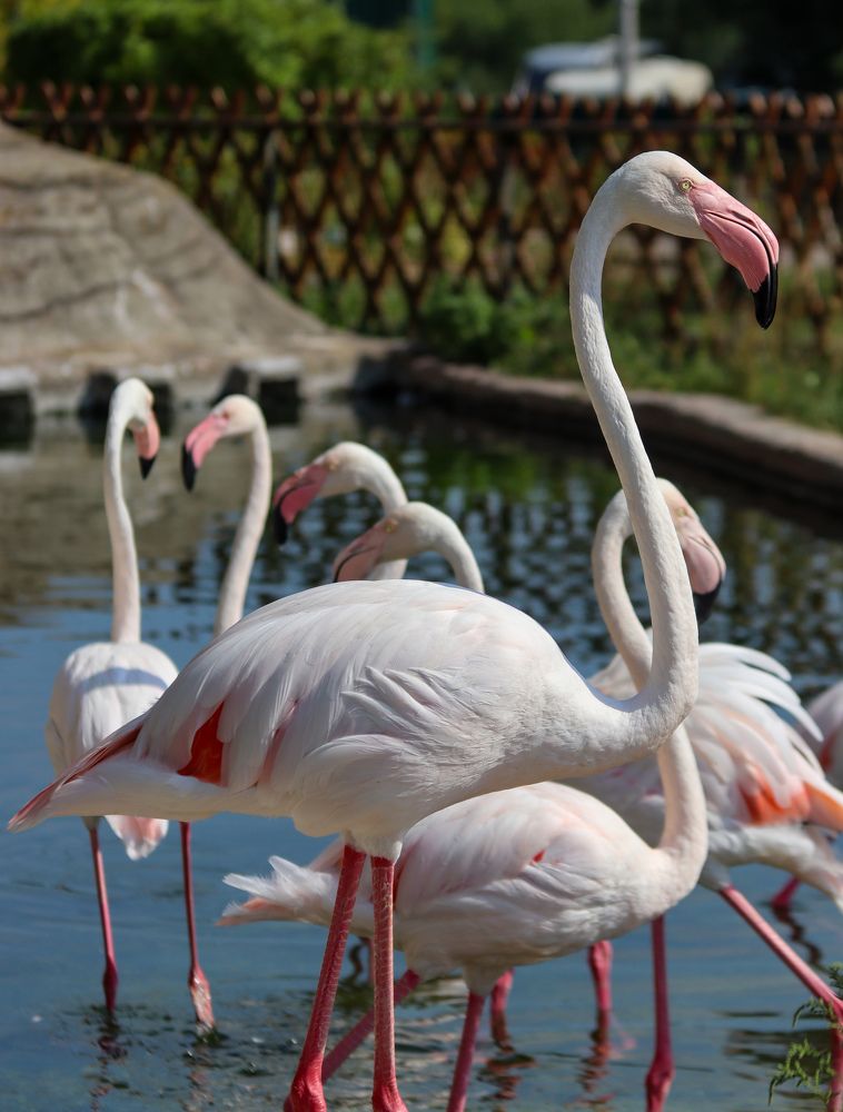 Photograph by Елена Рудкевич