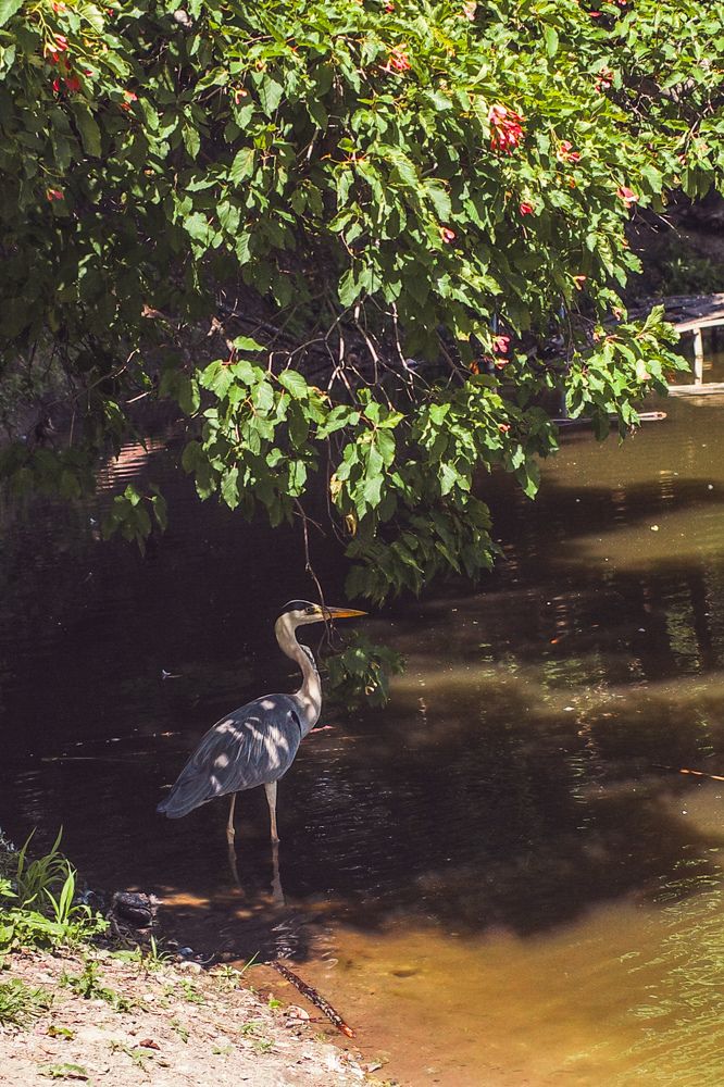 Photograph by Алла Никушкина