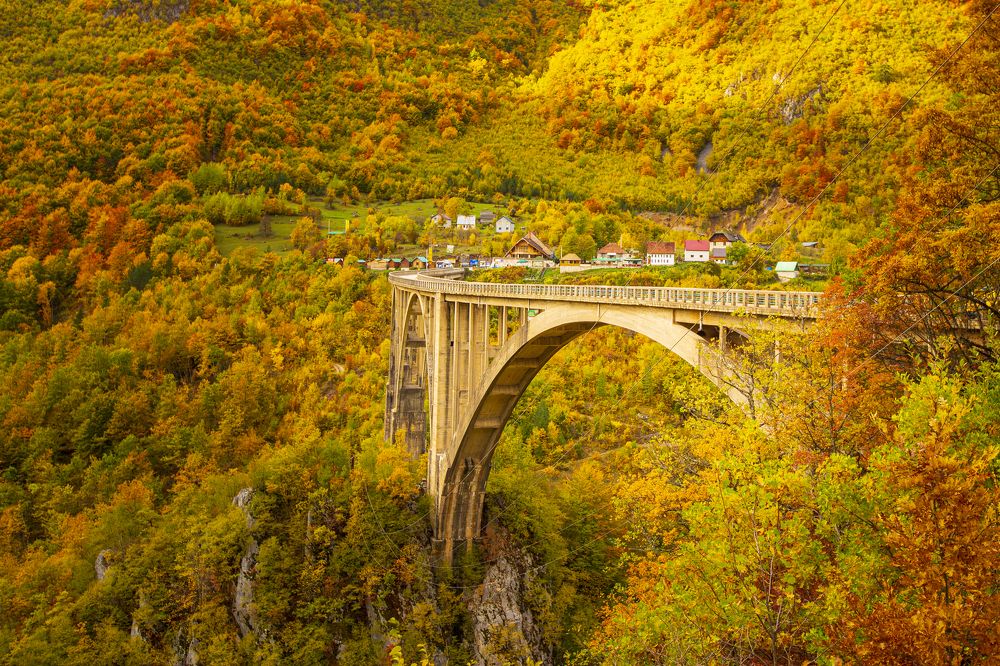 Photograph by Евгений Цапенко