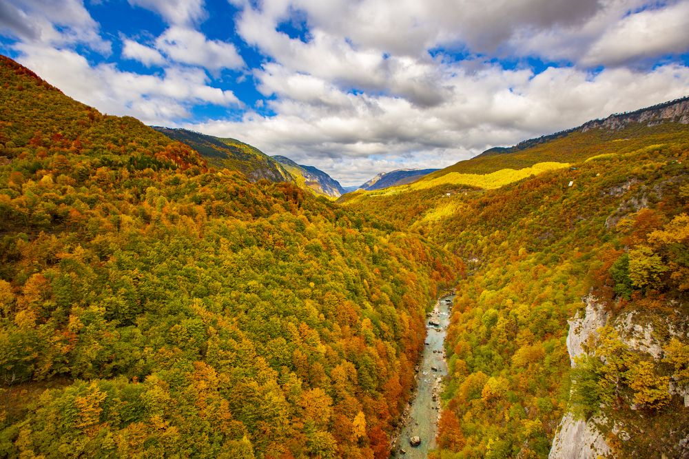 Photograph by Евгений Цапенко