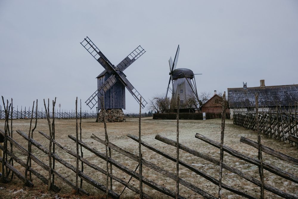 Фотография автора Светлана Зимина