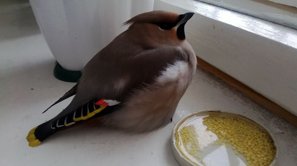 Photograph by Наталия