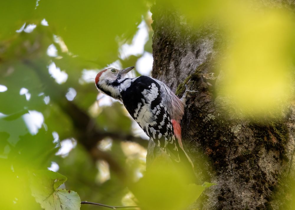Photograph by Кузнецов Дмитрий