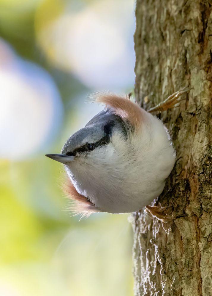 Photograph by Кузнецов Дмитрий