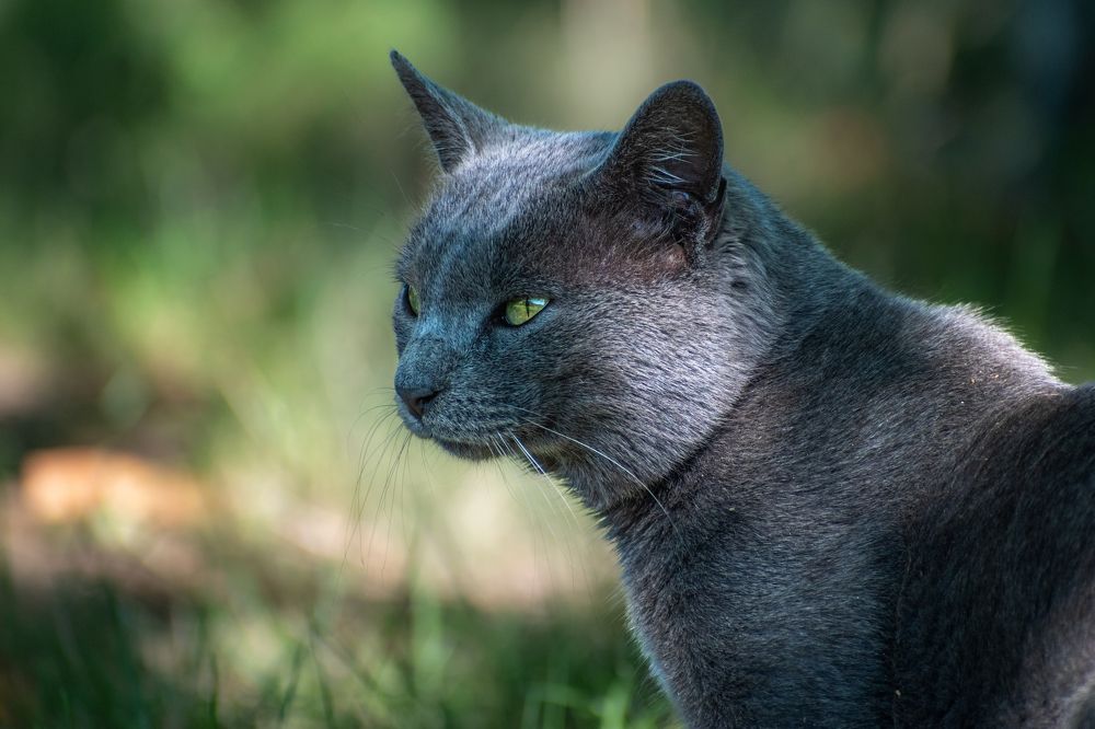 Photograph by Милан Ђорђевић