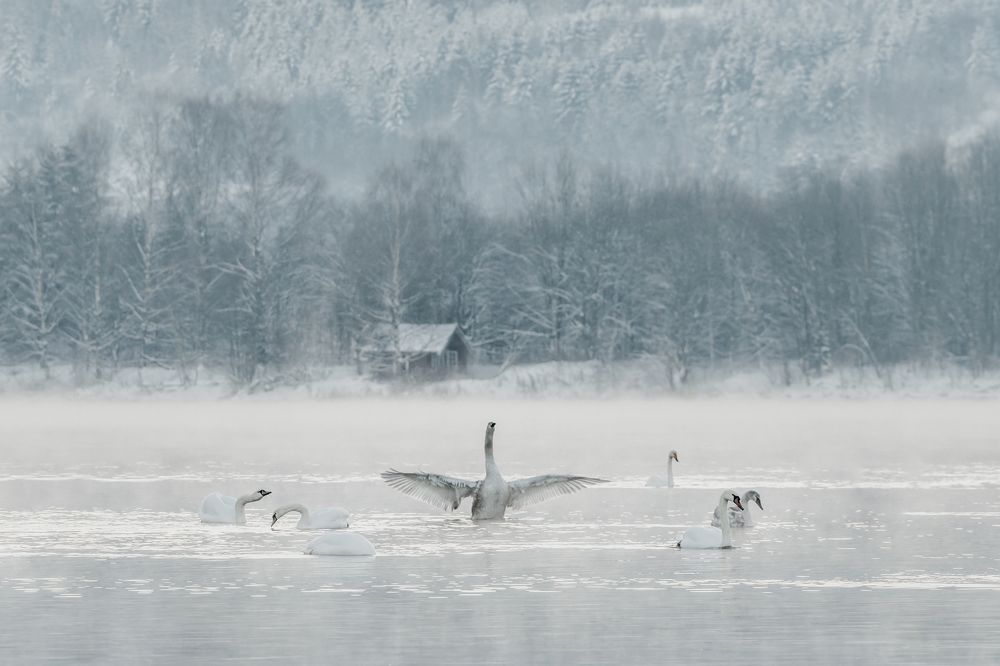 Photograph by Susn Jensen