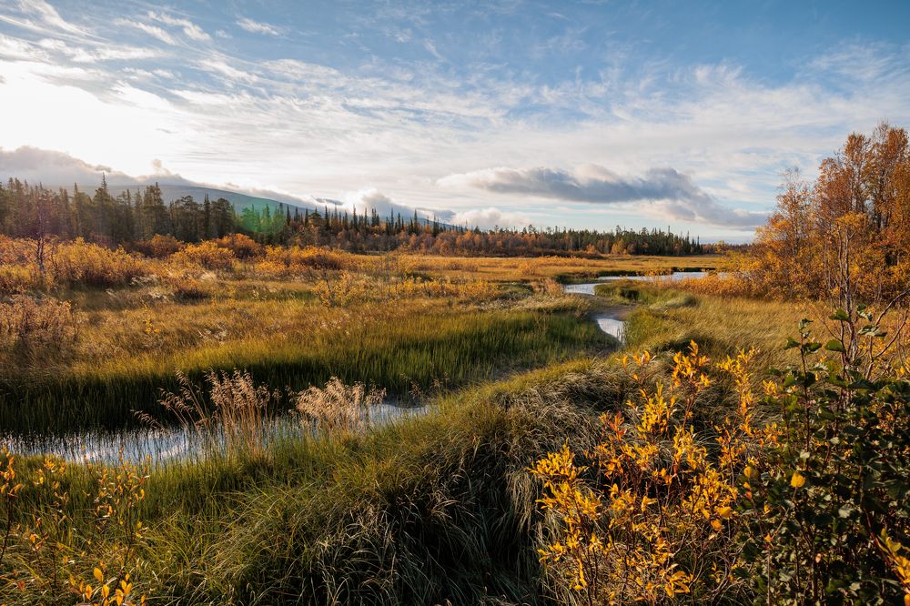 Фотография автора Андрей Русских