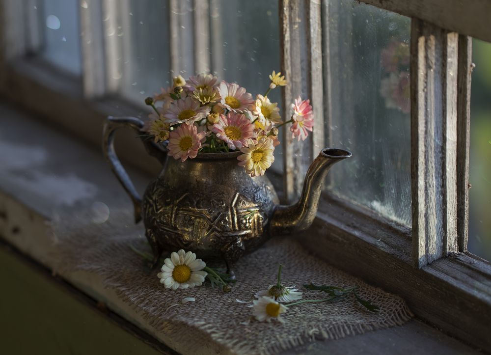 Photograph by Tatyana Fedenkova