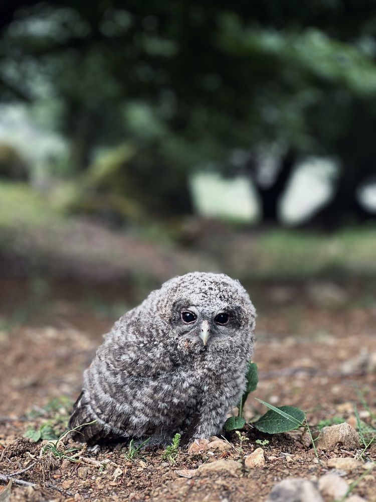 Photograph by amaz avr