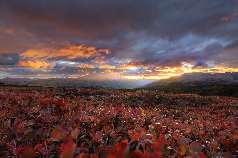 Photograph by Елена Вторушина