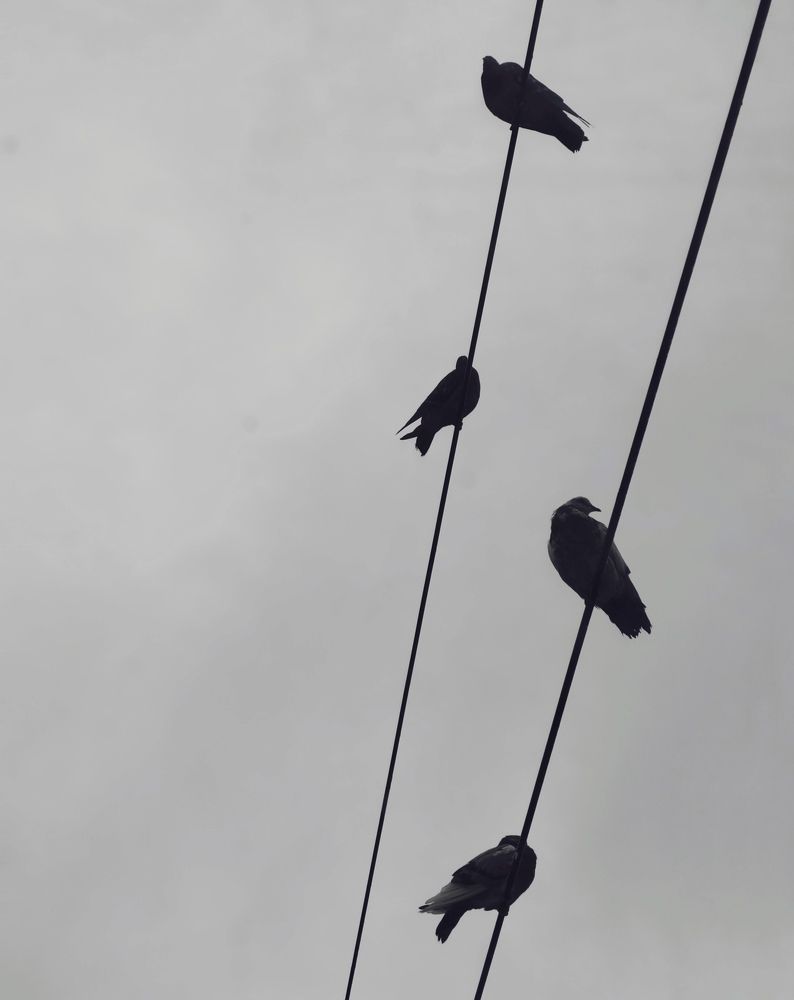 Photograph by Наталья Веряскина