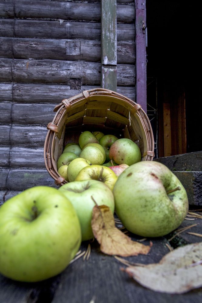 Photograph by Алексей Булак