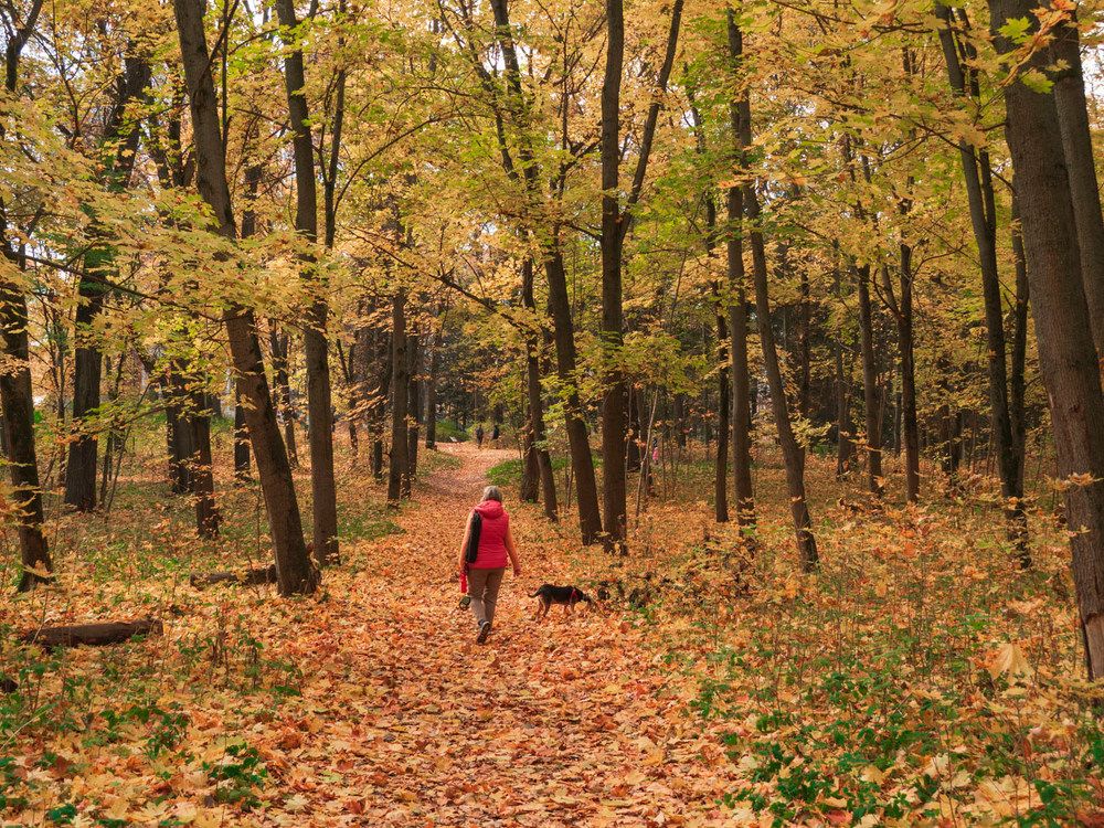 Photograph by Борис Полтавец