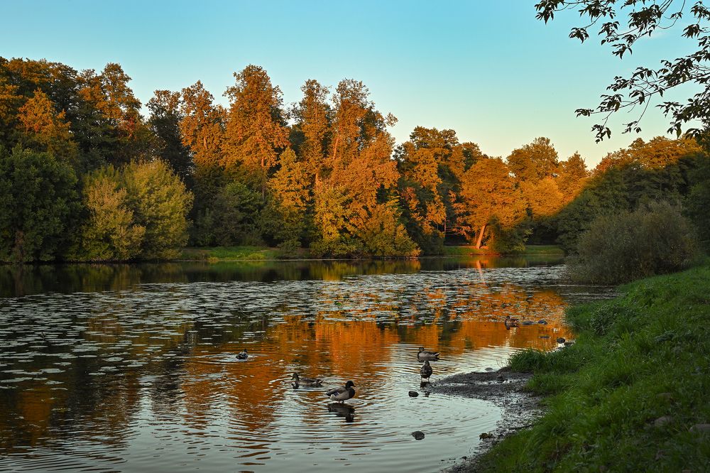 Photograph by Inna Ivanova