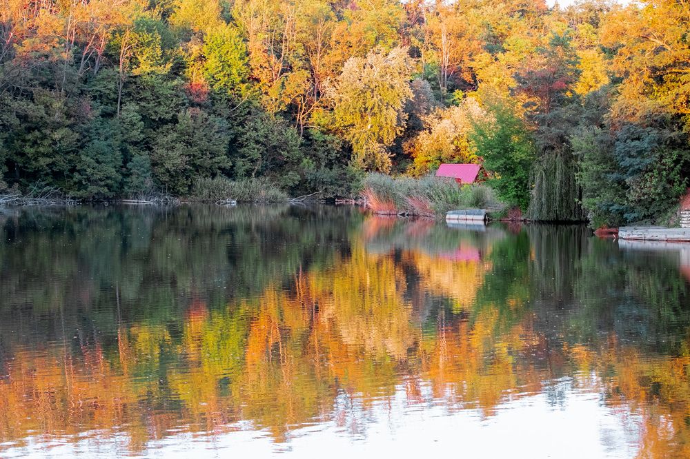 Photograph by Maria Kincse-Boros