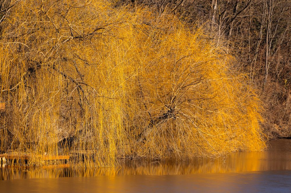 Photograph by Maria Kincse-Boros