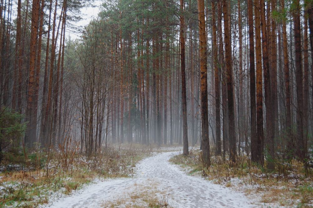 Фотография автора Мария Михайлова