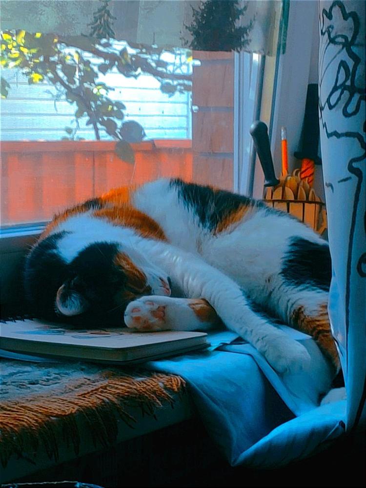 Photograph by Владислав Качан