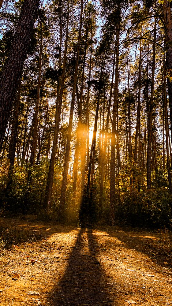 Photograph by Грим Денис