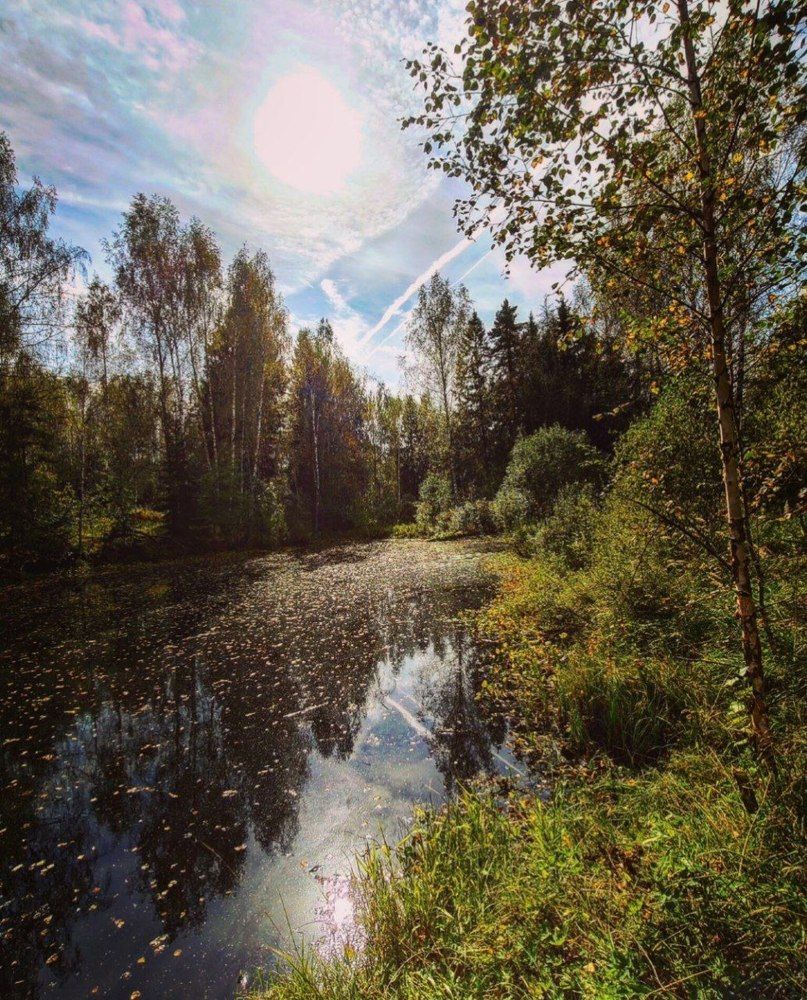 Photograph by Наталья