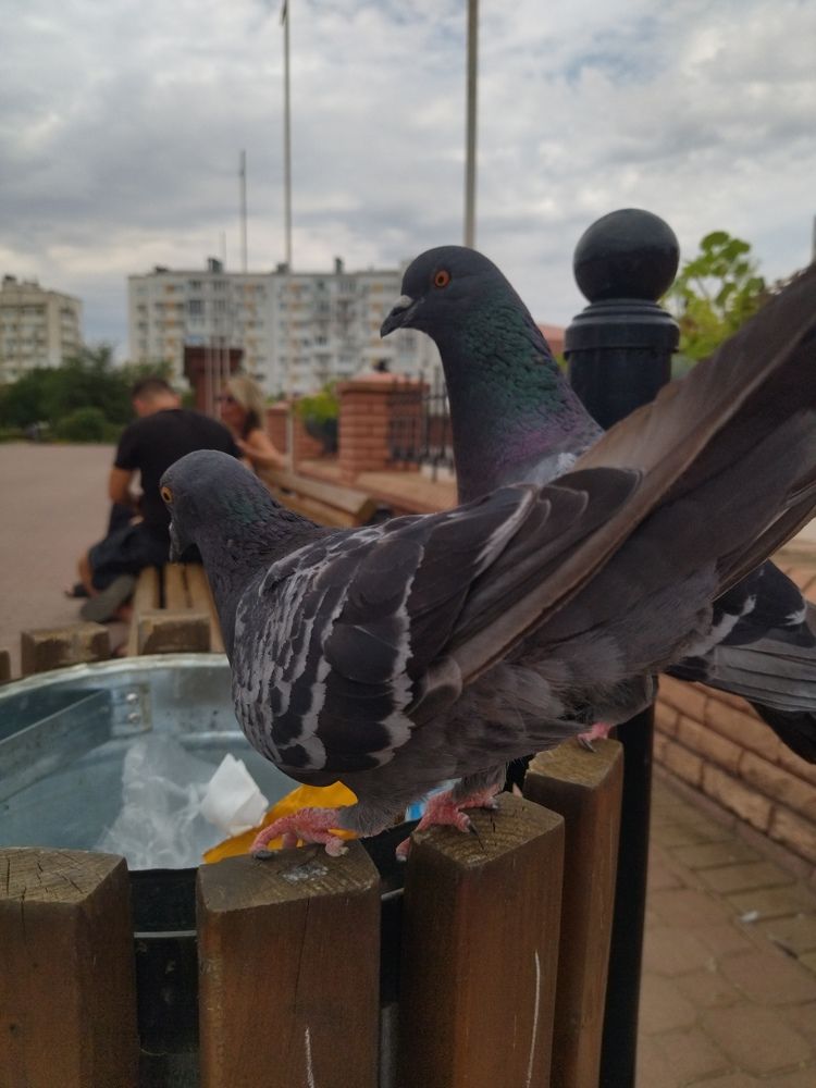 Photograph by Анна Степанова