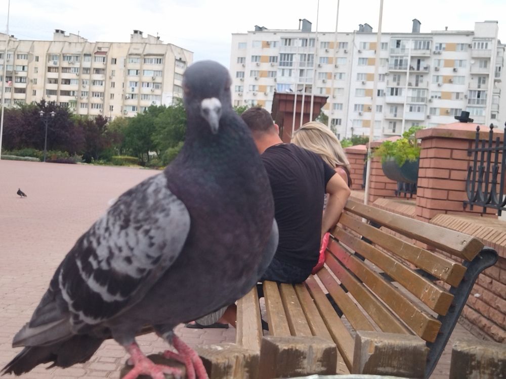 Photograph by Анна Степанова