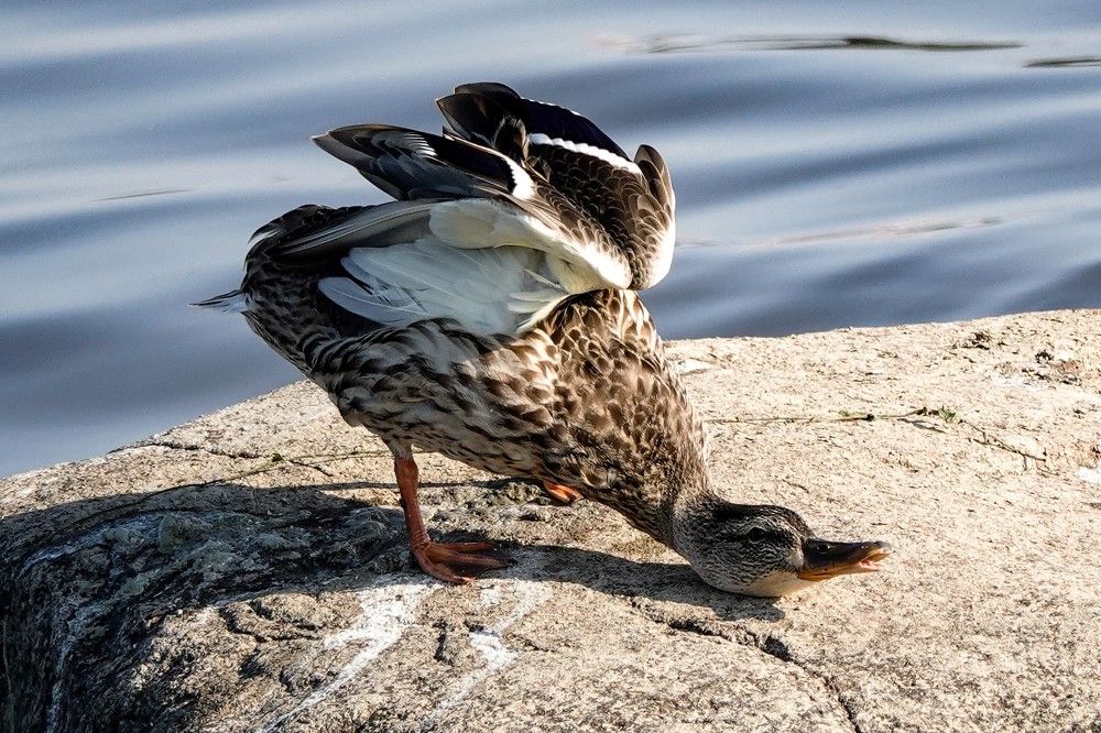 Photograph by Zakharov Matvey