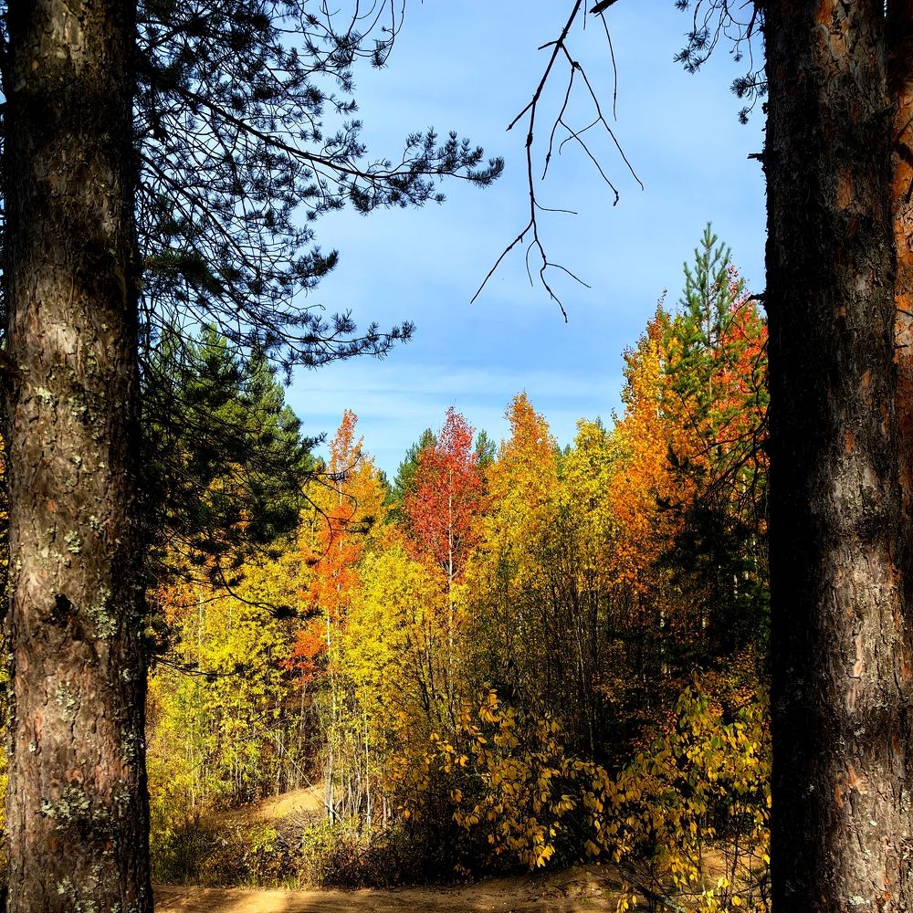 Photograph by Alexandr