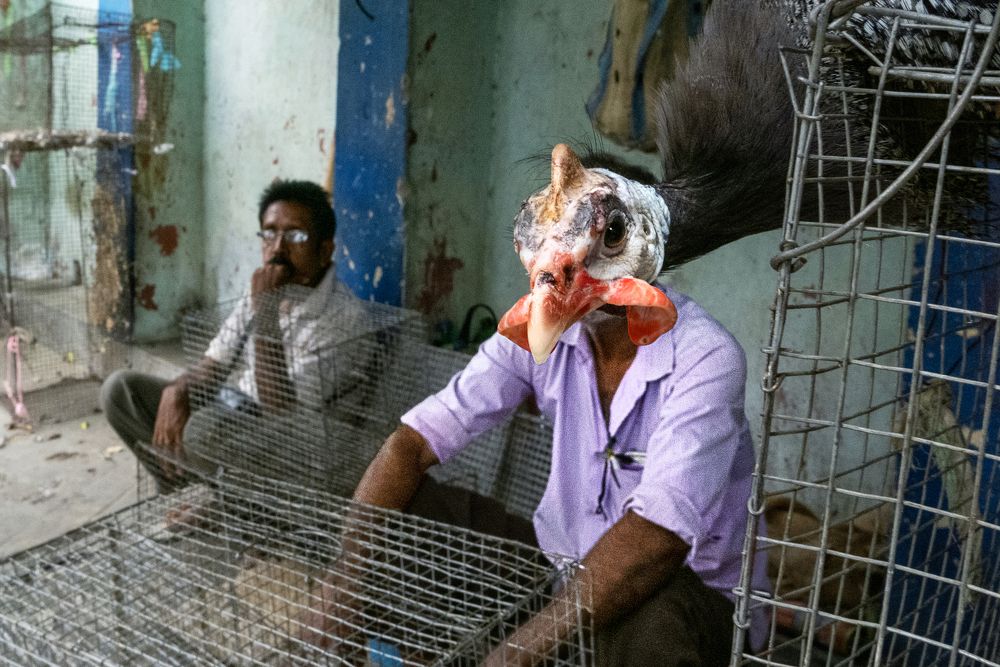 Photograph by Kuntal Biswas